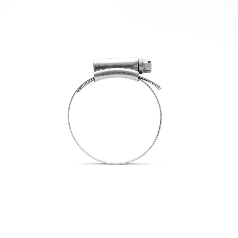 Stainless Steel Hose Clamp