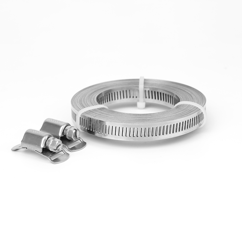 Worm gear hose clamp